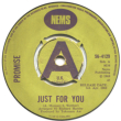 JUST FOR YOU / NINE TO FIVE (Promise)